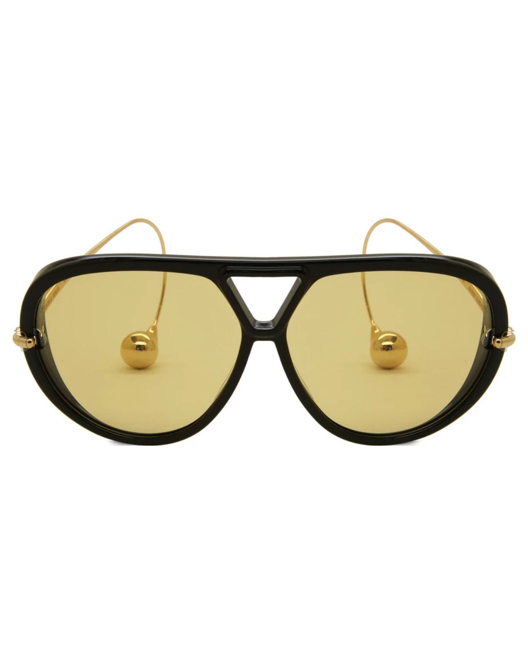 Bottega Veneta 1273S 003