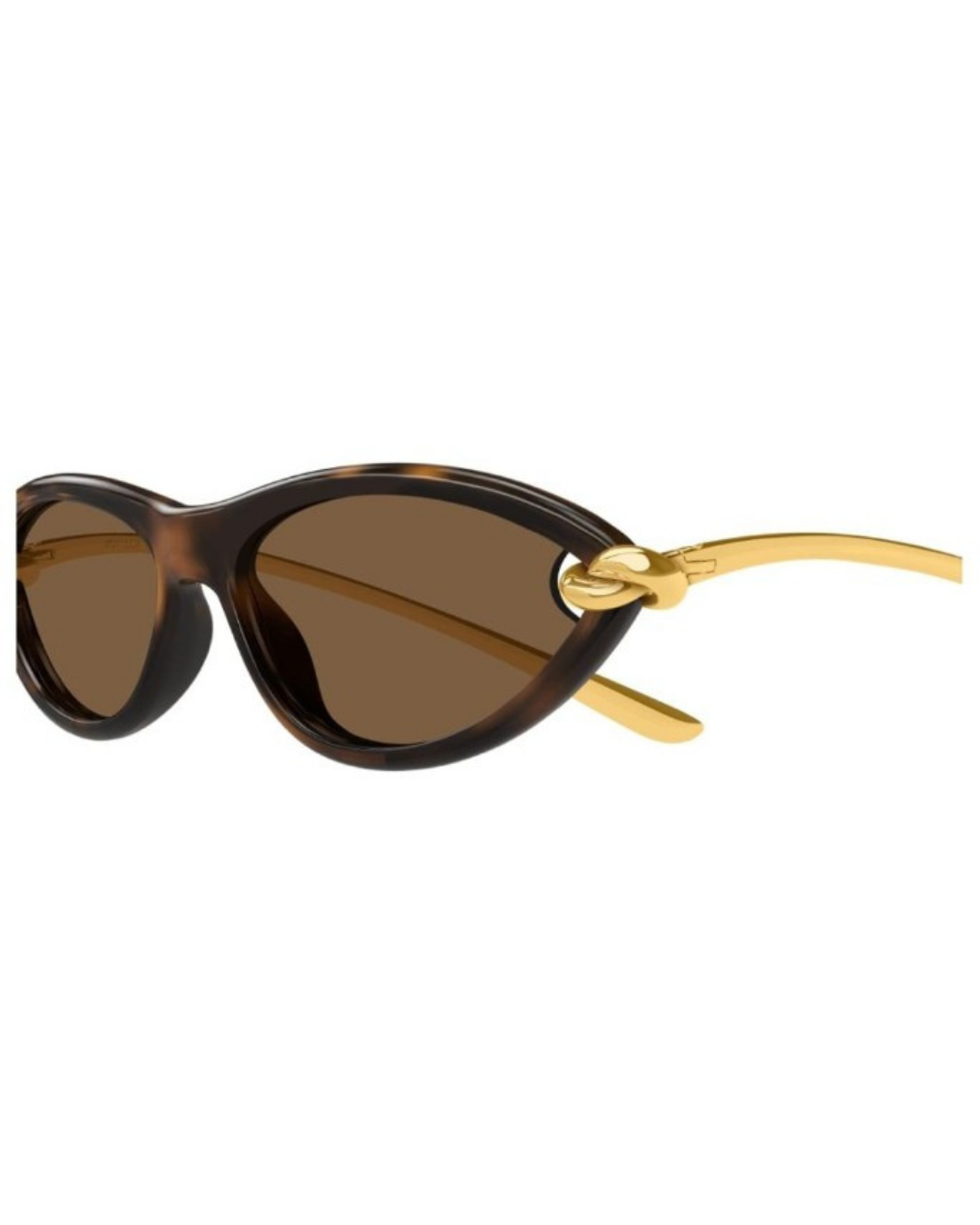 Bottega Veneta 1390s 002