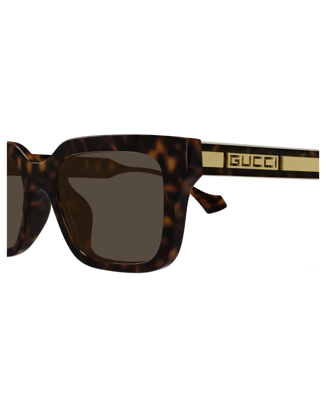 Gucci 1732SK 002