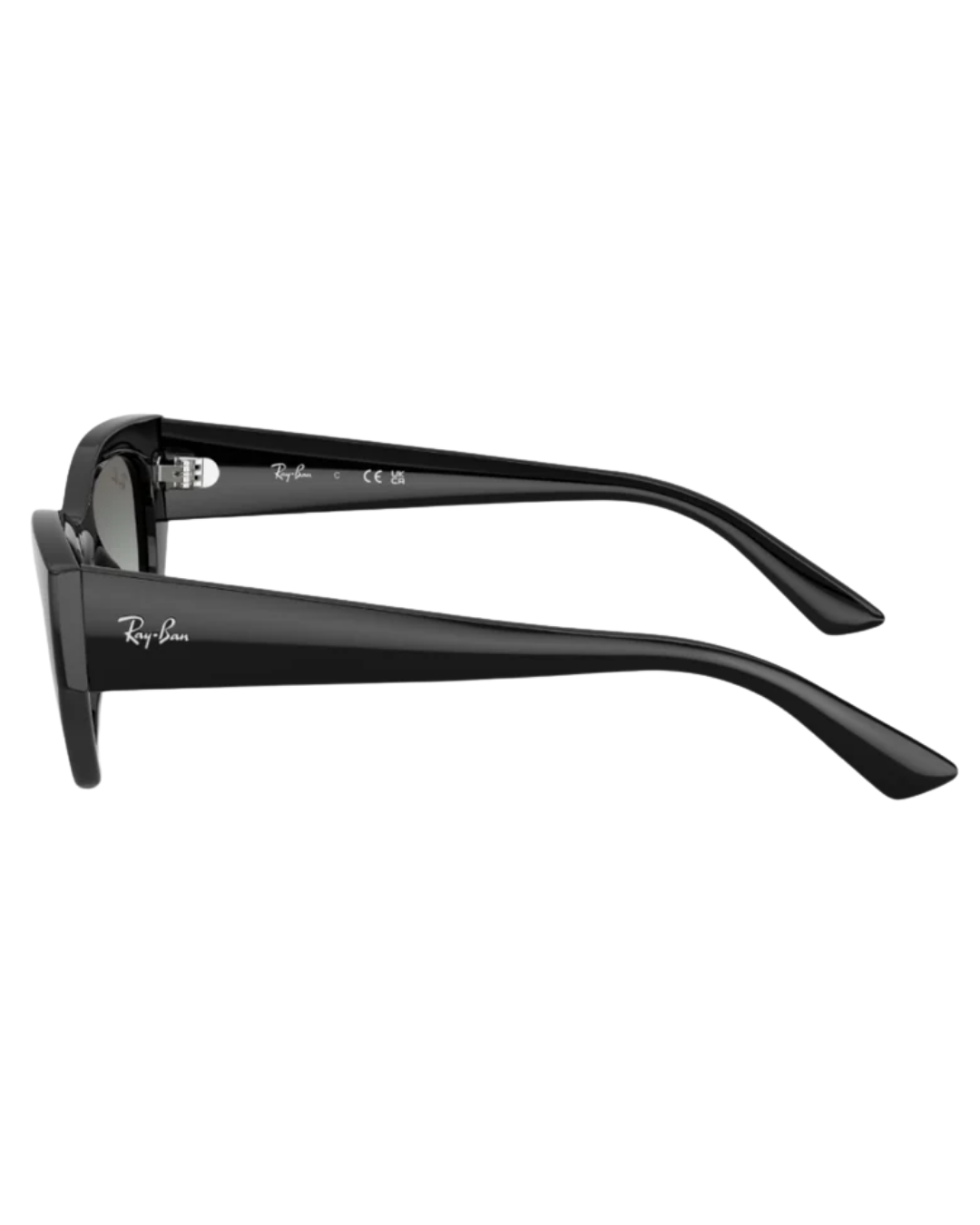 Ray-Ban 4430 52 667711