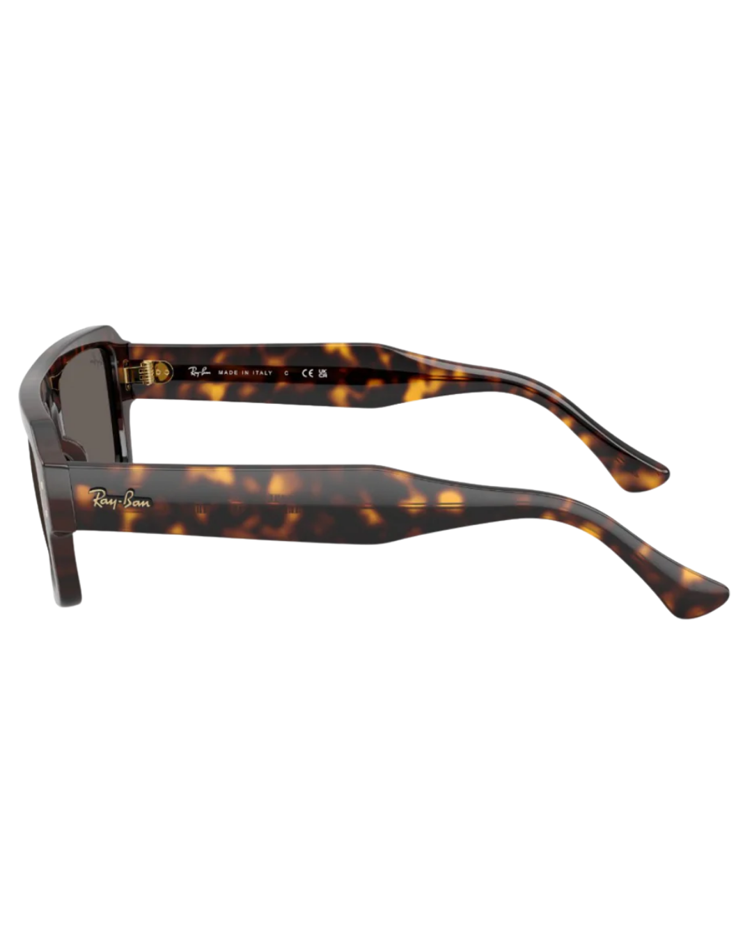 Ray-Ban 4454 53 1359B1