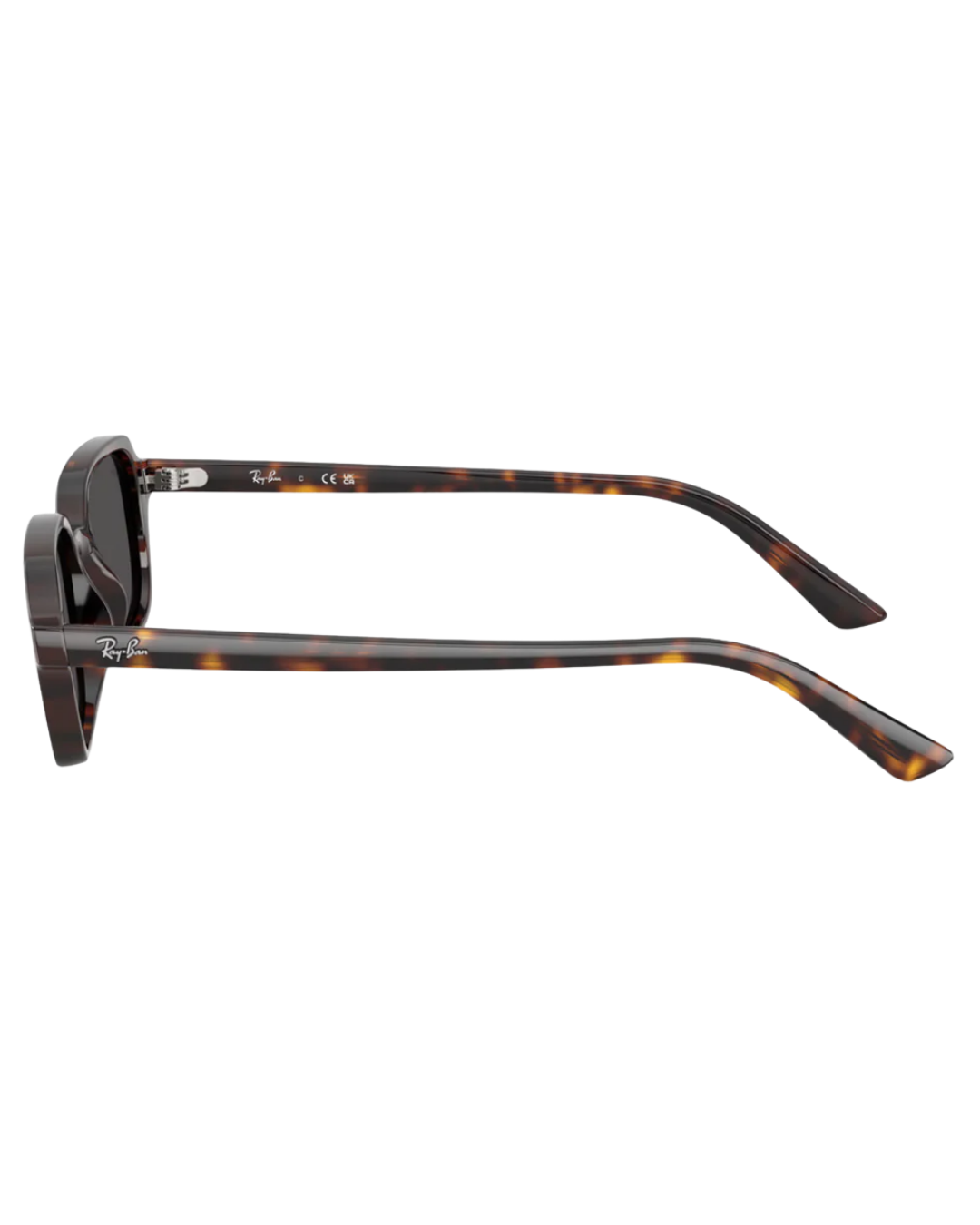 Ray-Ban 4455 49 135987