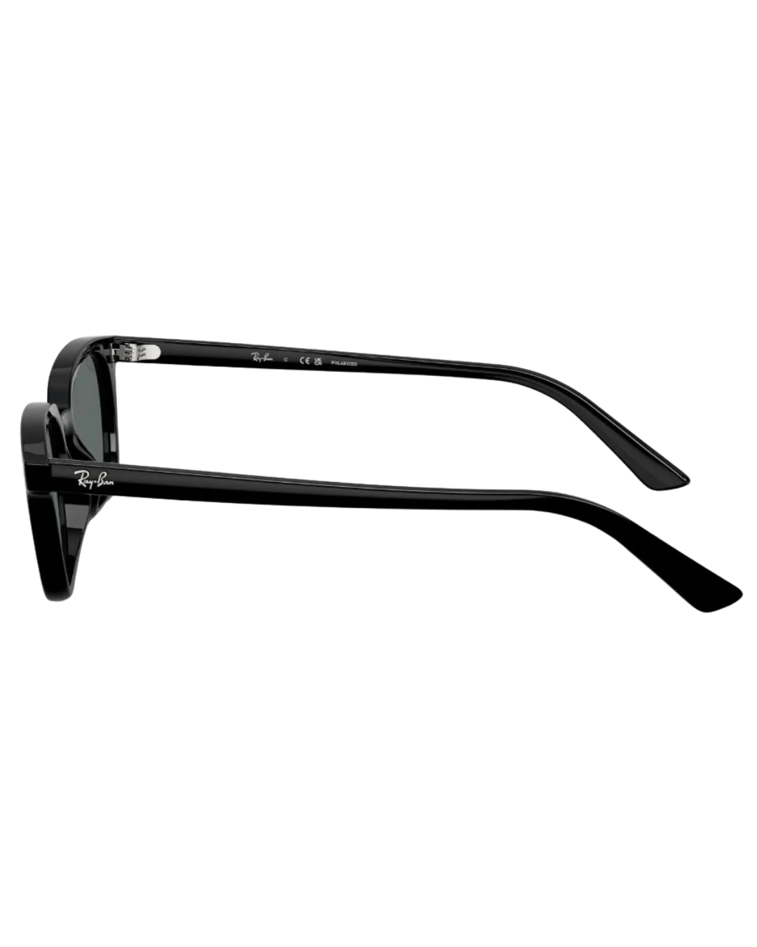 Ray-Ban 4456 50 667781