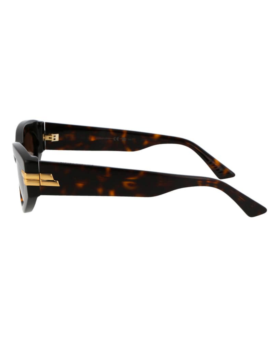 Bottega Veneta 1189S 002