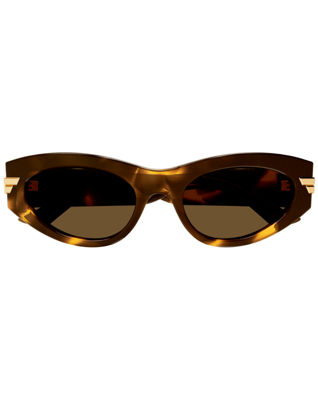 Bottega Veneta 1189S 005