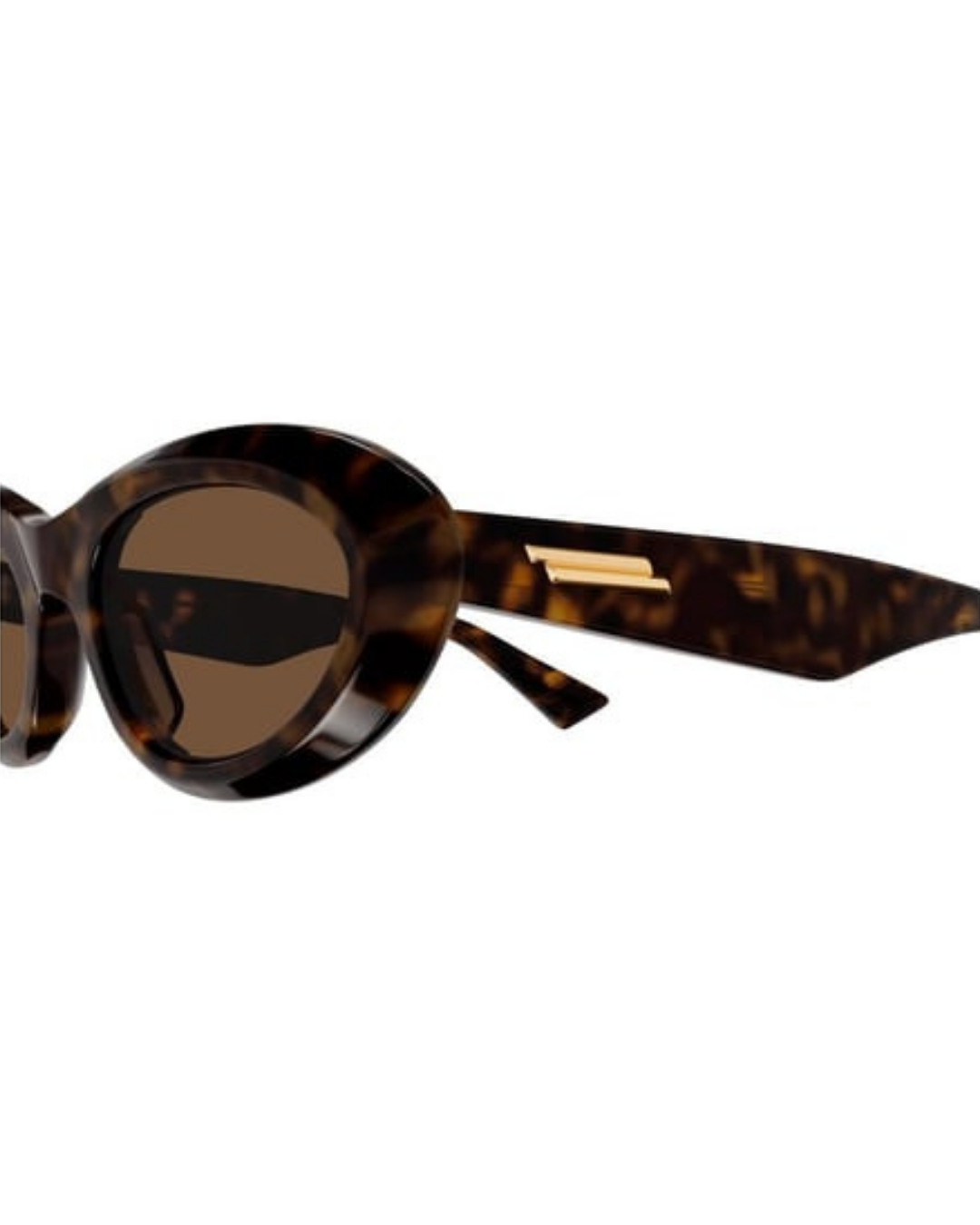 Bottega Veneta 1191S 002