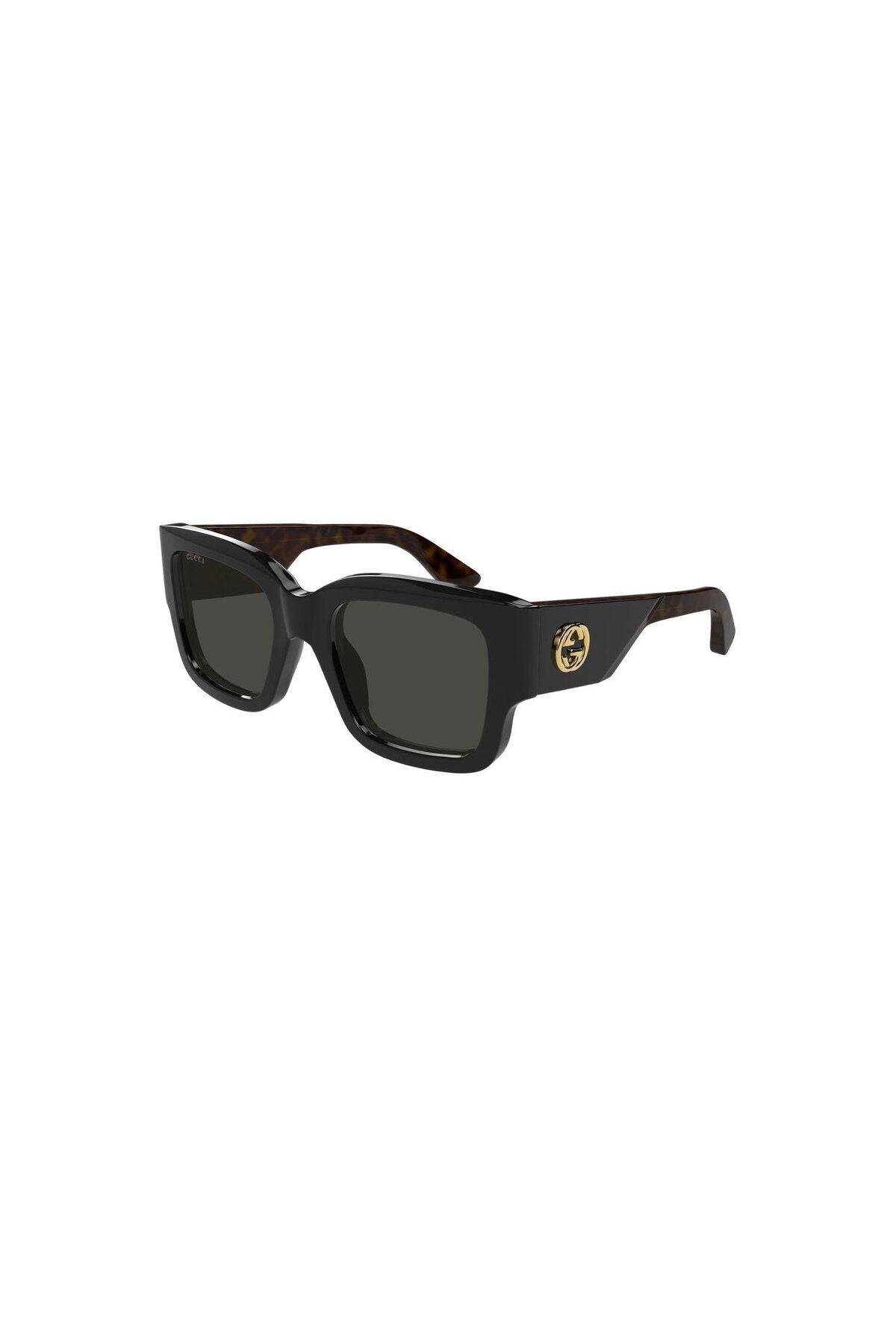 GG1663S 001
