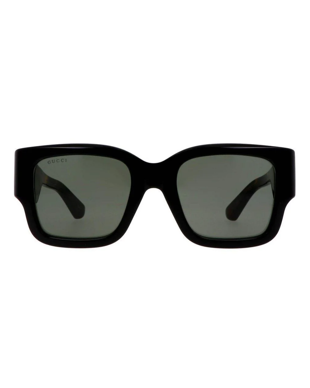 GG1663S 001