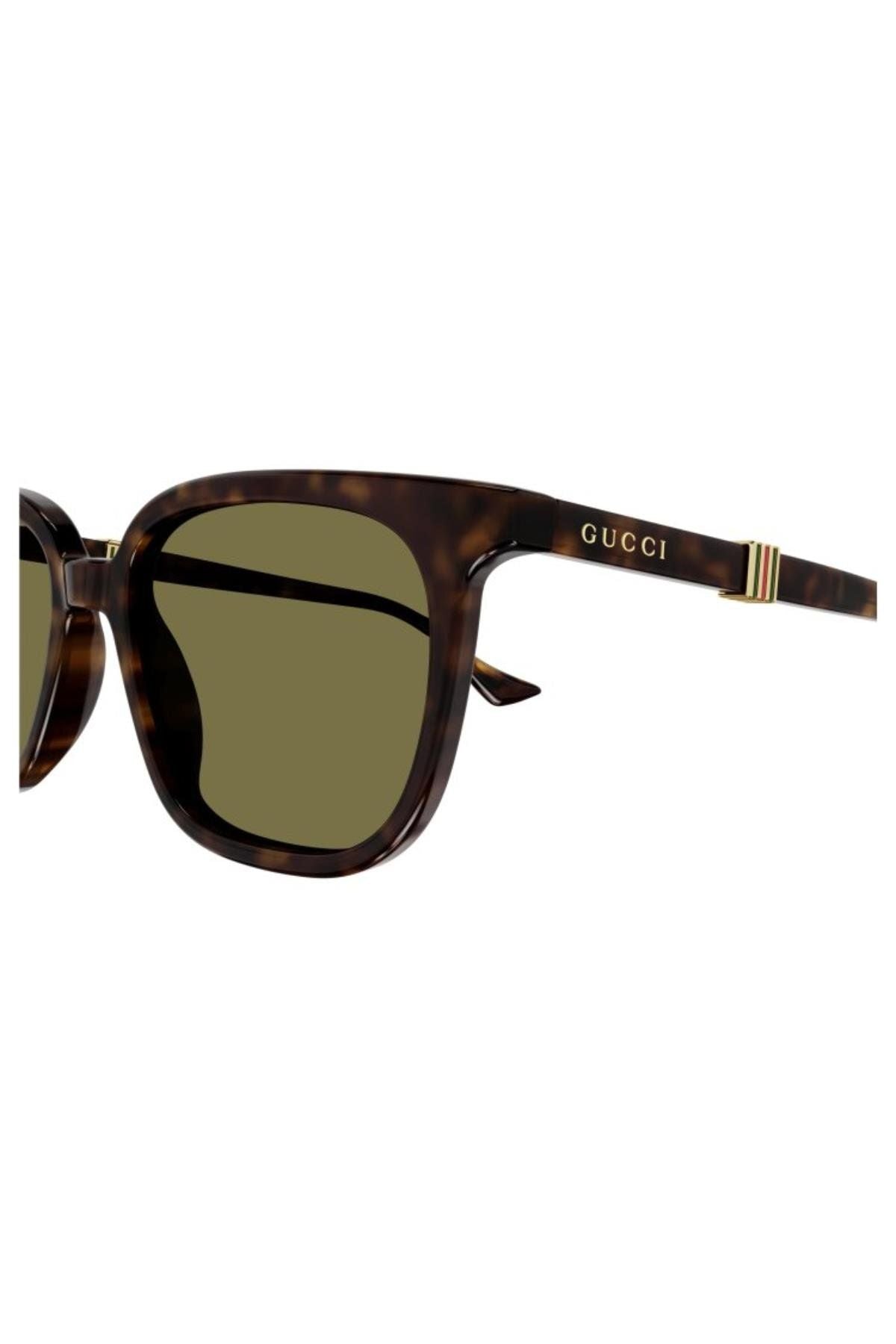 Gucci Gg1493s 002