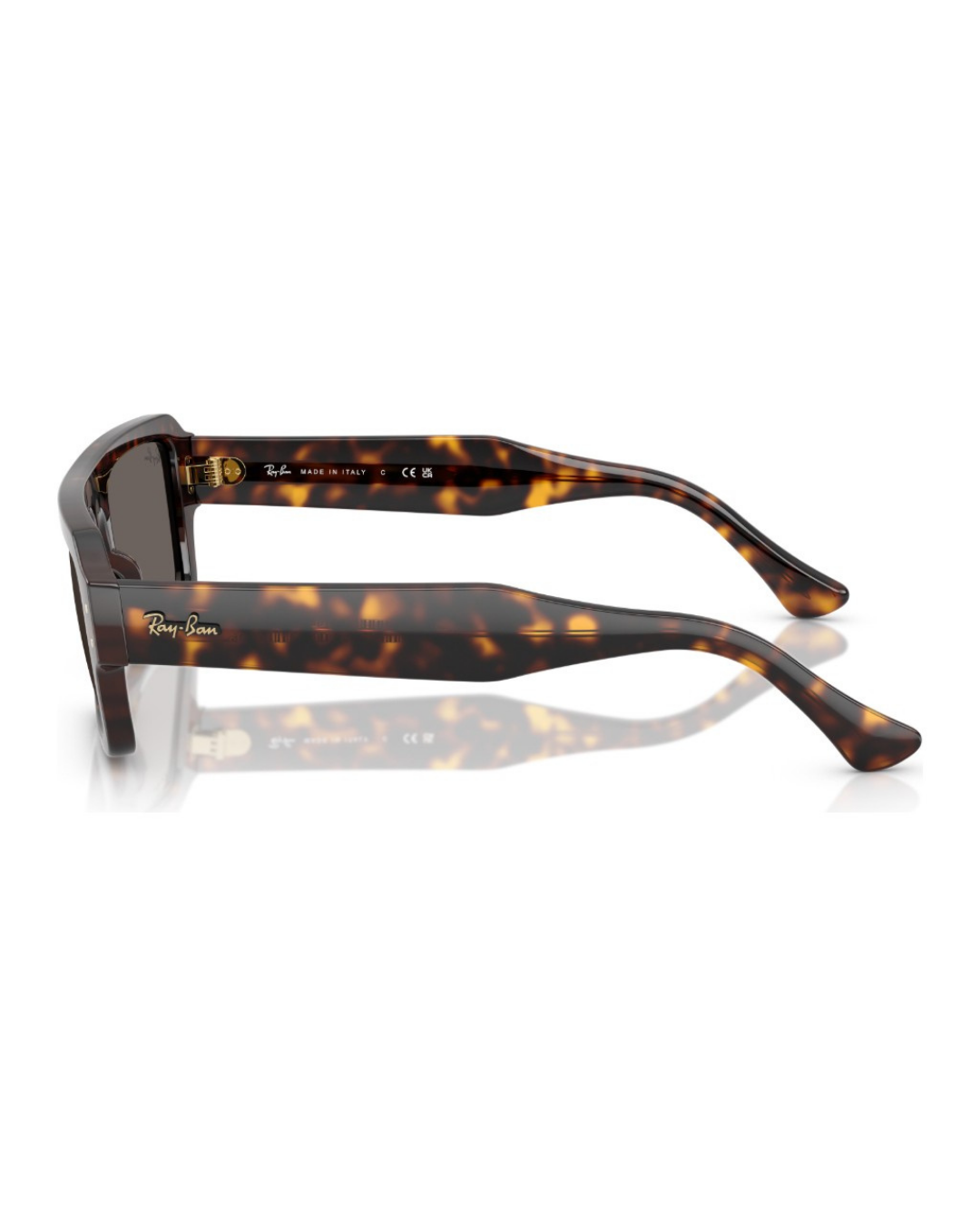 Ray-Ban 4454 53 1359B1