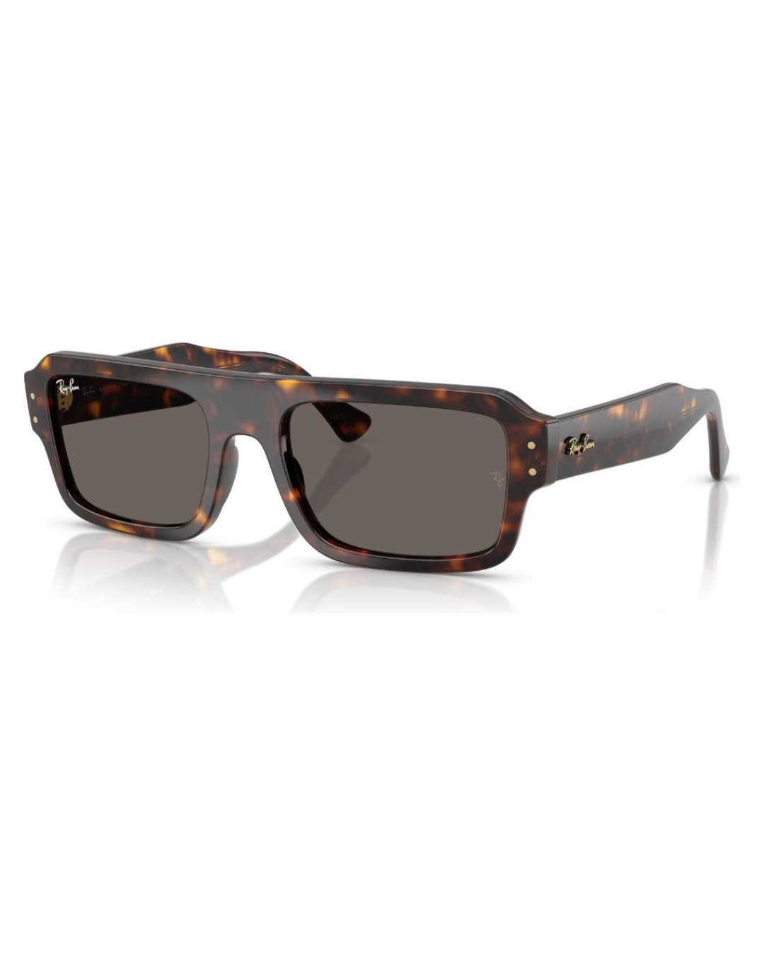 Ray-Ban 4454 53 1359B1