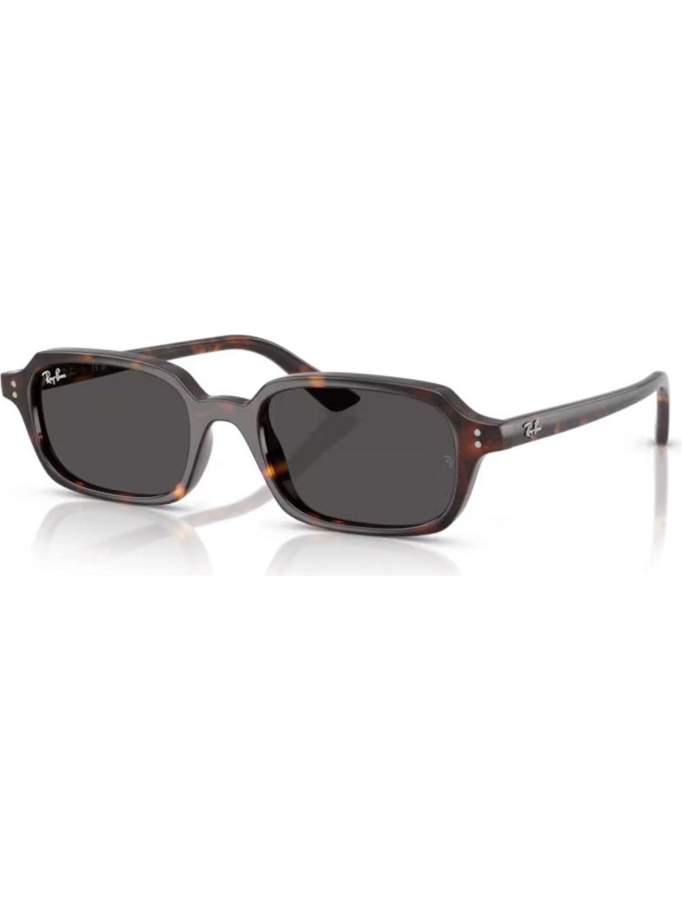 Ray-Ban 4455 135987