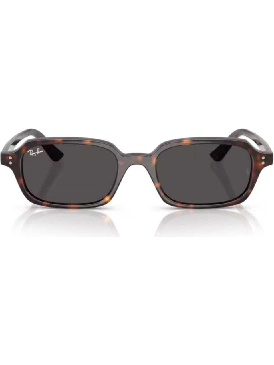 Ray-Ban 4455 135987