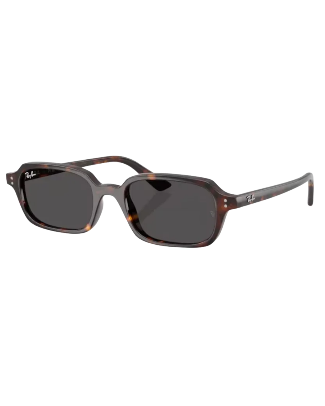 Ray-Ban 4455 135987