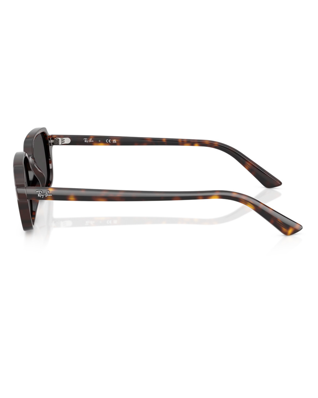 Ray-Ban 4455 49 135987