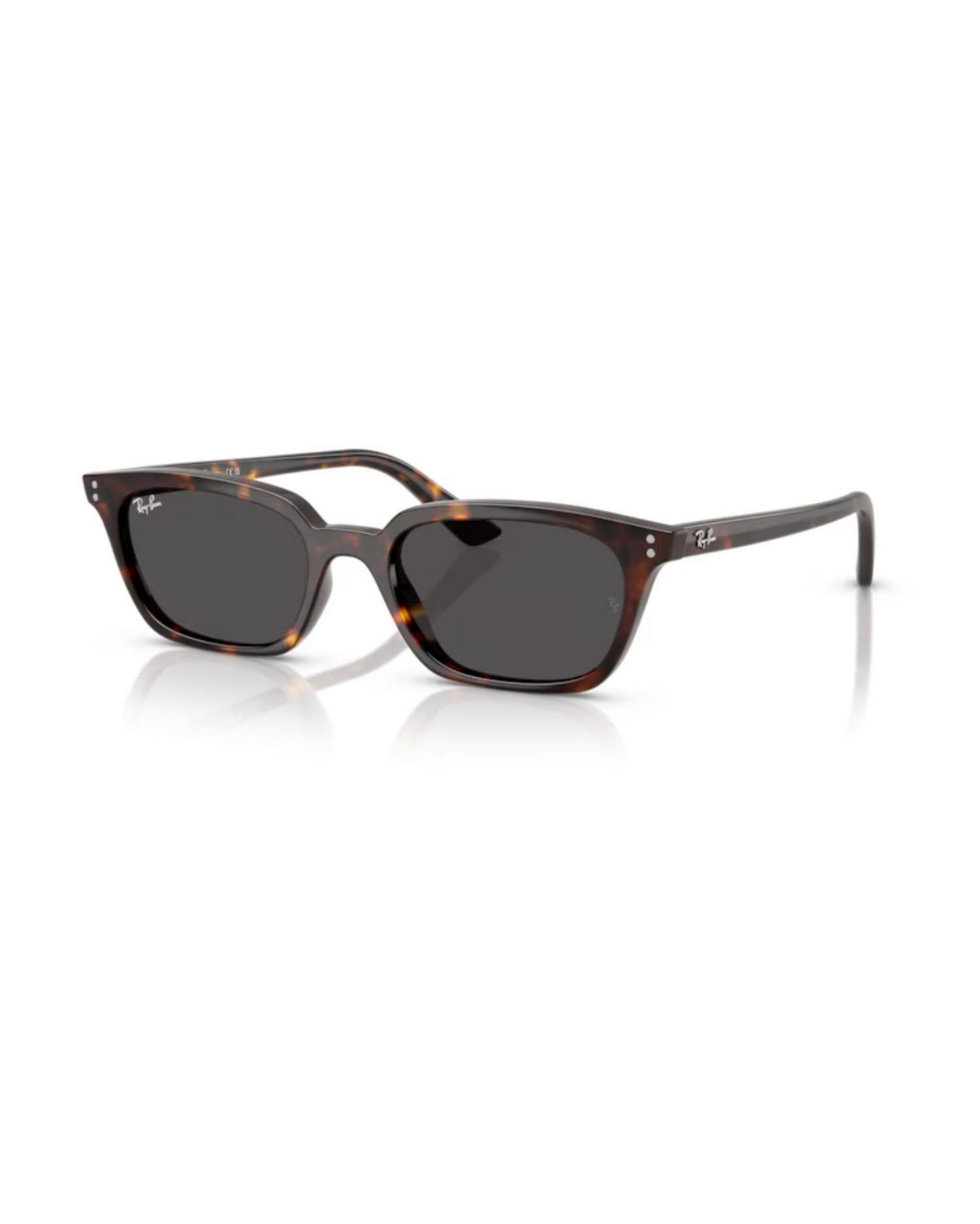 Ray-Ban 4456 50 135987