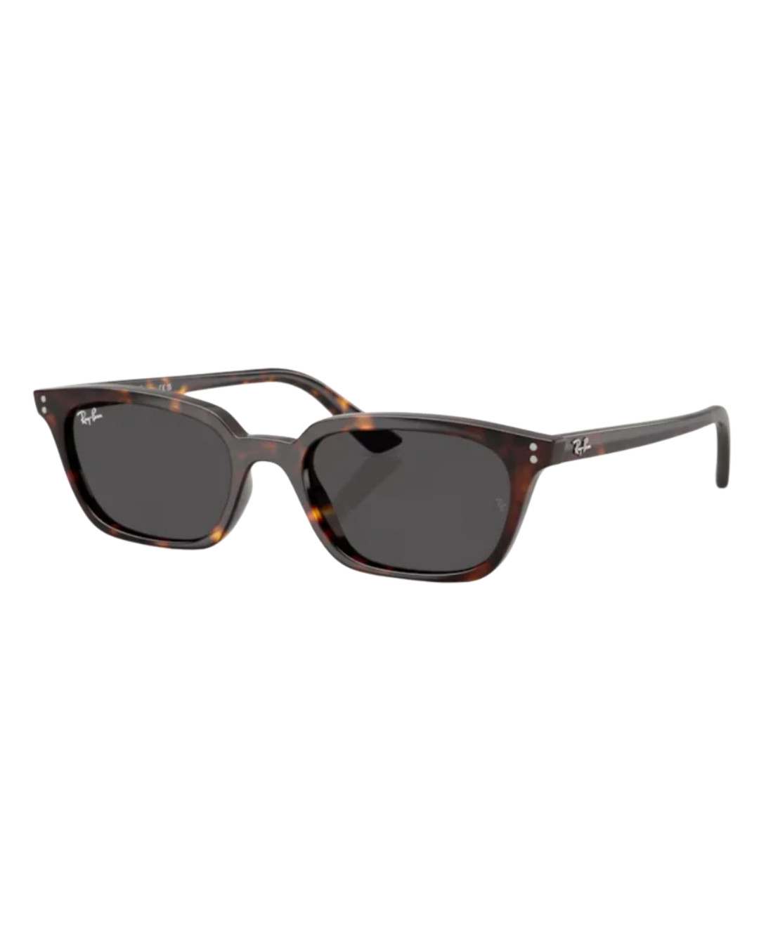 Ray-Ban 4456 50 135987